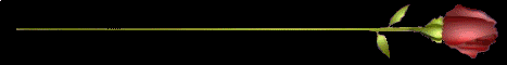 AnimacinROSABARRA.gif