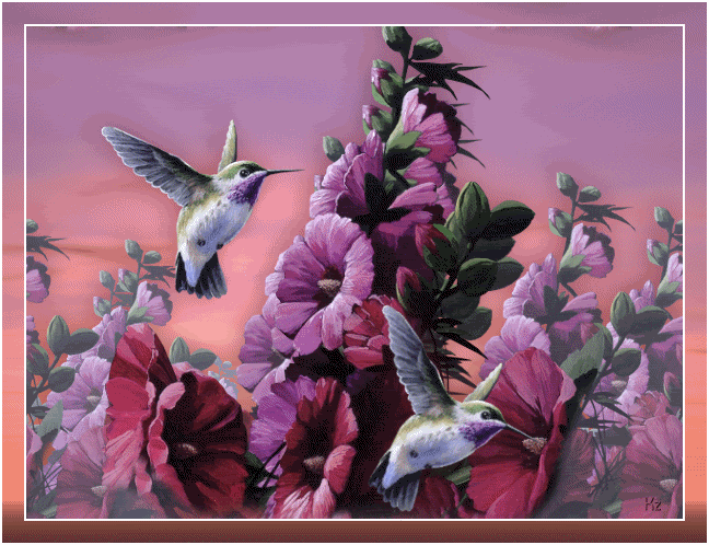 ZyW2kUo3mvgS.gif flores con colibris image by                                                                                                                                 thedarkangel_1964