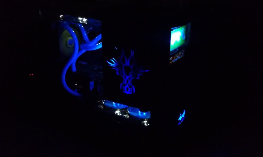 IMAG0255.jpg