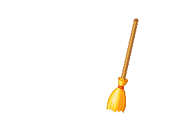 vassoura broom
