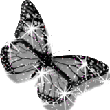 butterfly.gif butterfly image by sweetnsassynjqt