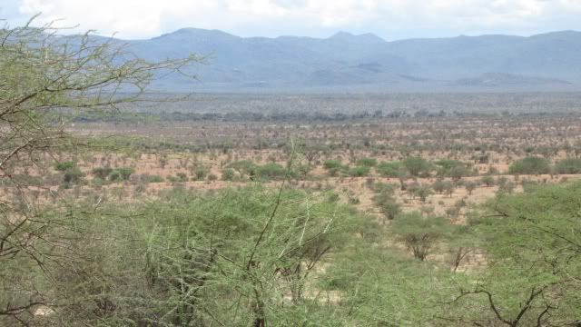 Viaje a Kenia - Blogs de Kenia - De Madrid a Samburu (30)