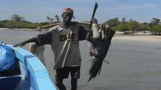 Viaje a Senegal: Pais Bassari y Cassamance - Blogs de Senegal - Segunda Etapa: Cassamance (30)