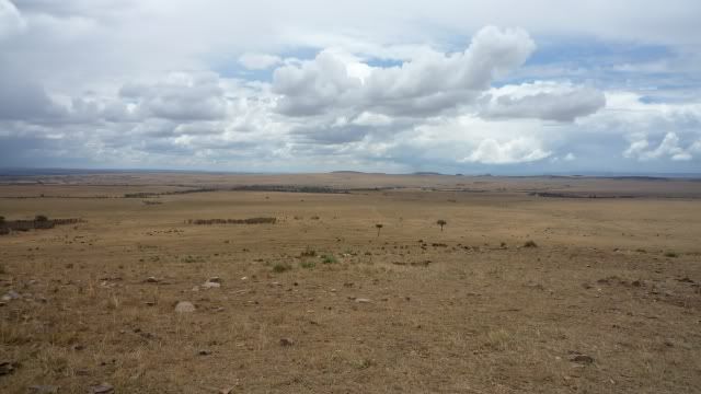 Viaje a Kenia - Blogs de Kenia - De Samburu a Masai Mara (31)