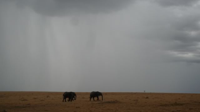 Viaje a Kenia - Blogs de Kenia - De Samburu a Masai Mara (36)