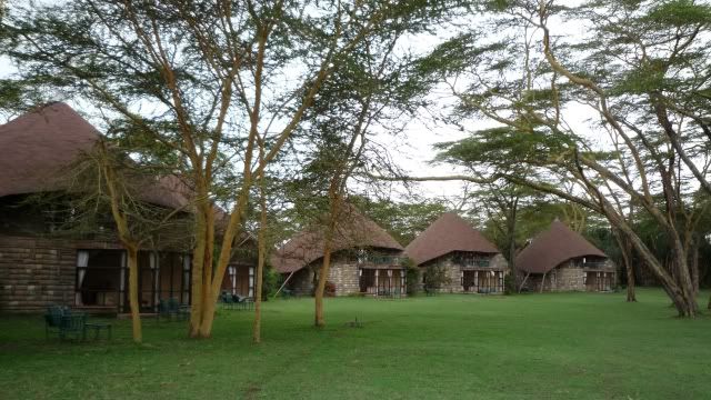 De Massai Mara a Madrid - Viaje a Kenia (2)