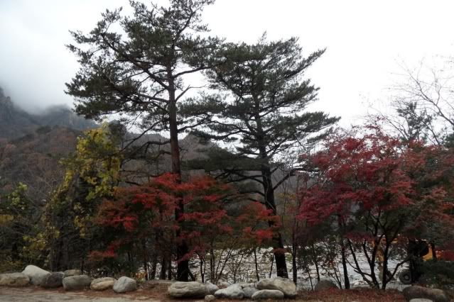 Viaje a Corea Noviembre 2011 - Blogs de Corea Sur - Viaje a Corea (18)