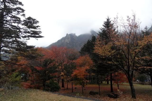 Viaje a Corea - Viaje a Corea Noviembre 2011 (17)