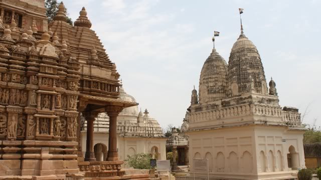 Viaje a la India y Nepal - Blogs de Sub Continente Indio - Desde Udaipur hasta Benares pasando por Delhi (56)