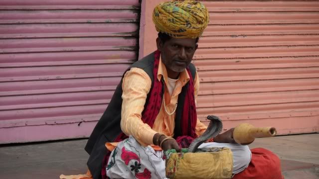 Viaje a la India y Nepal - Blogs de Sub Continente Indio - Desde Udaipur hasta Benares pasando por Delhi (30)