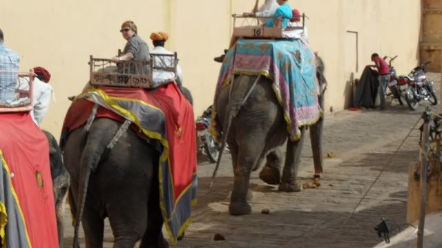 Viaje a la India y Nepal - Blogs de Sub Continente Indio - Desde Udaipur hasta Benares pasando por Delhi (31)