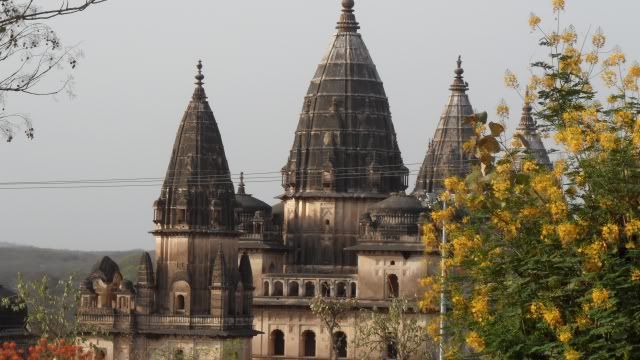 Viaje a la India y Nepal - Blogs de Sub Continente Indio - Desde Udaipur hasta Benares pasando por Delhi (50)