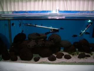 100_2281.jpg
