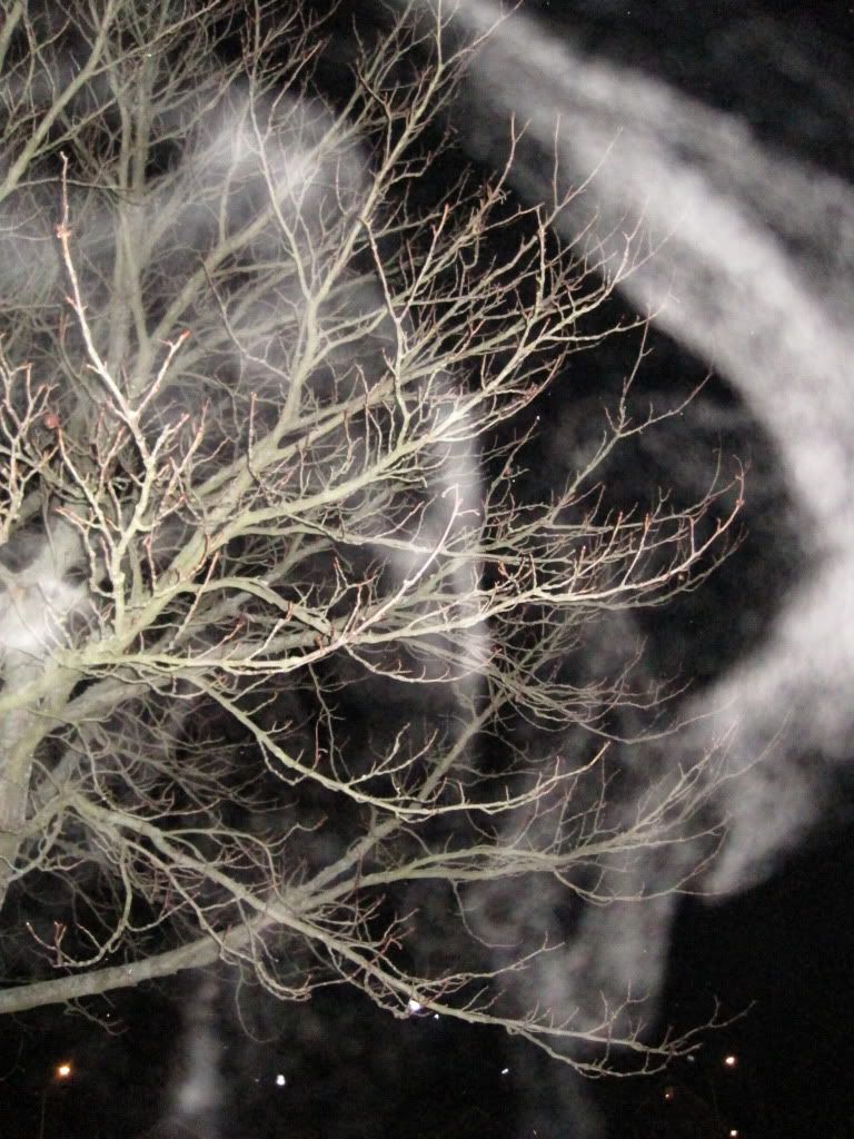 Spök-träd
