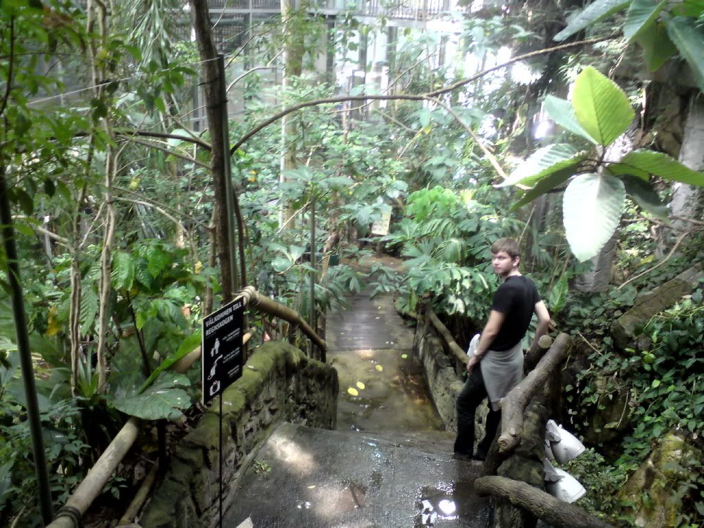 Fredrik i regnskogen
