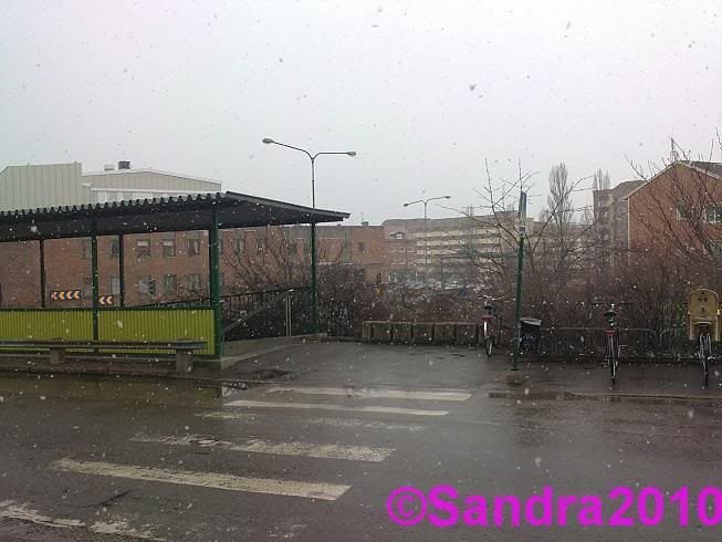 Snö