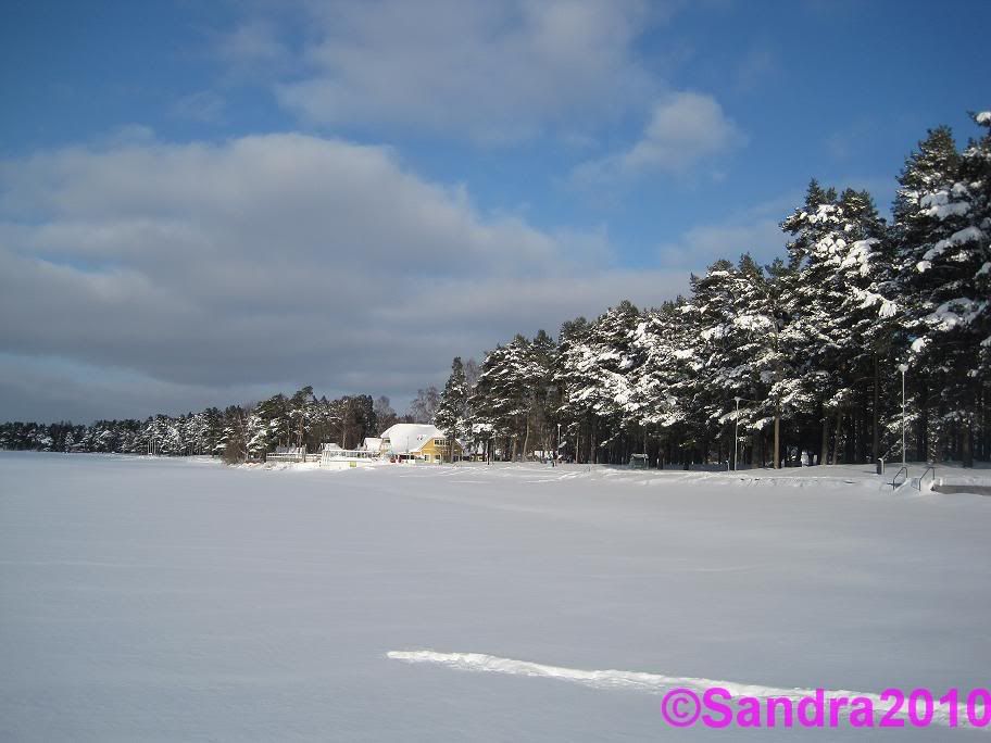 Sjövik