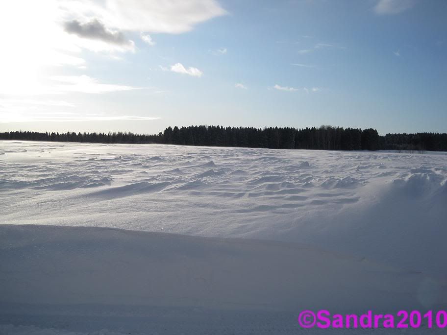 Snö-utsikt