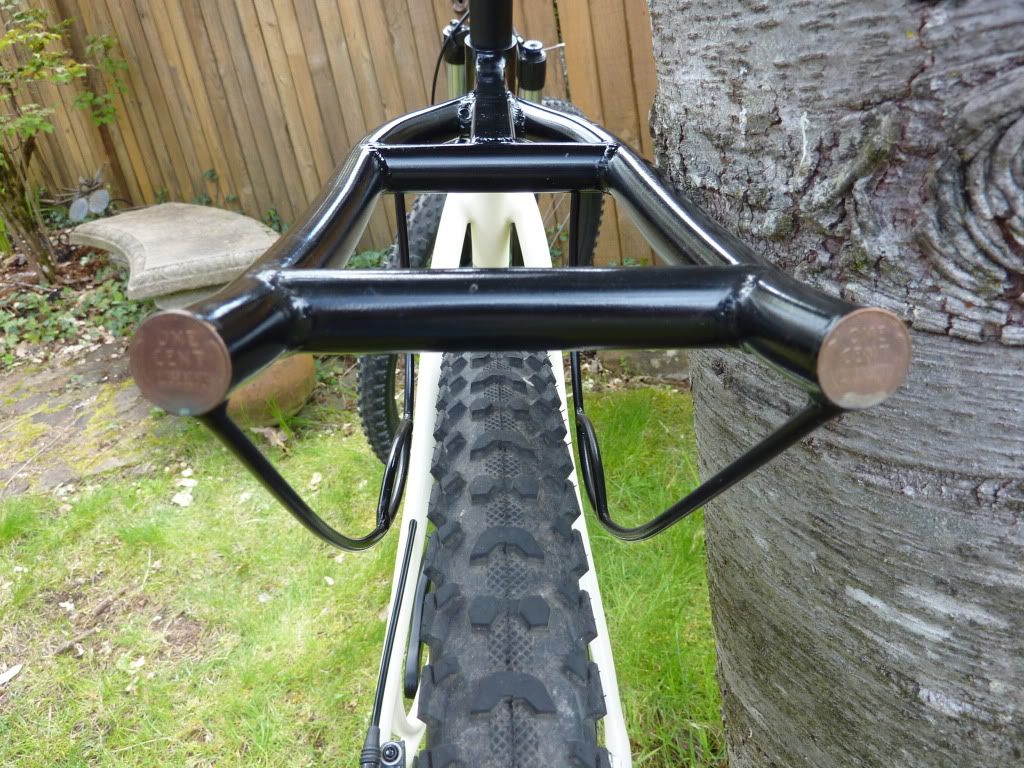 belt drive 29er