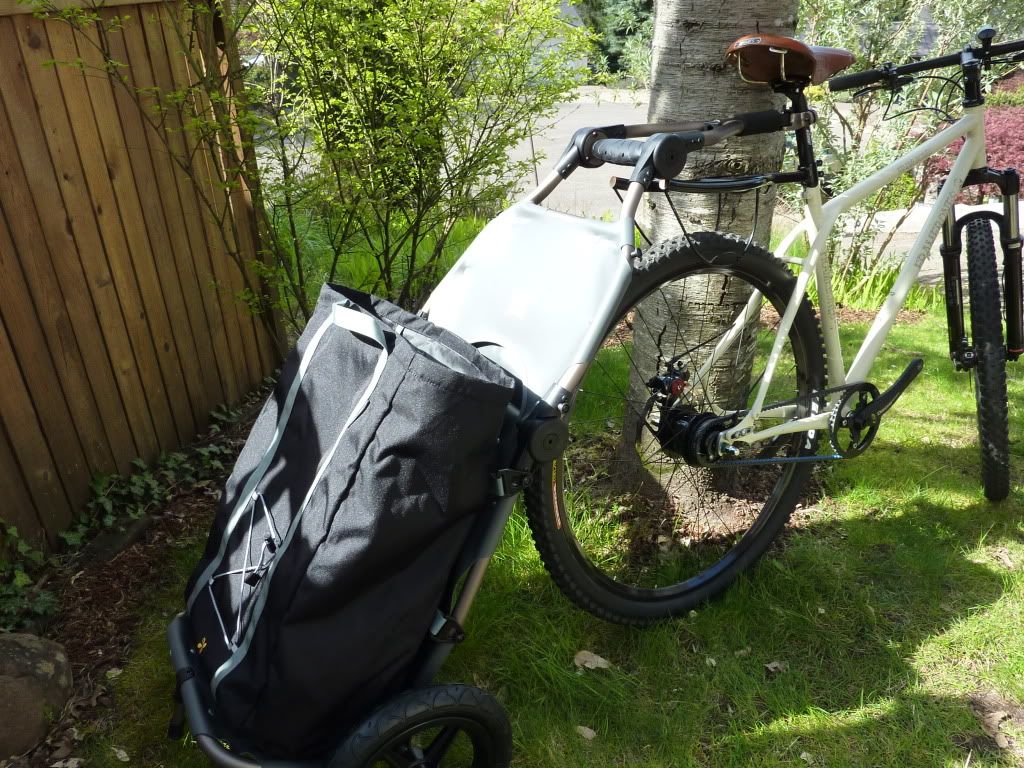 belt drive 29er