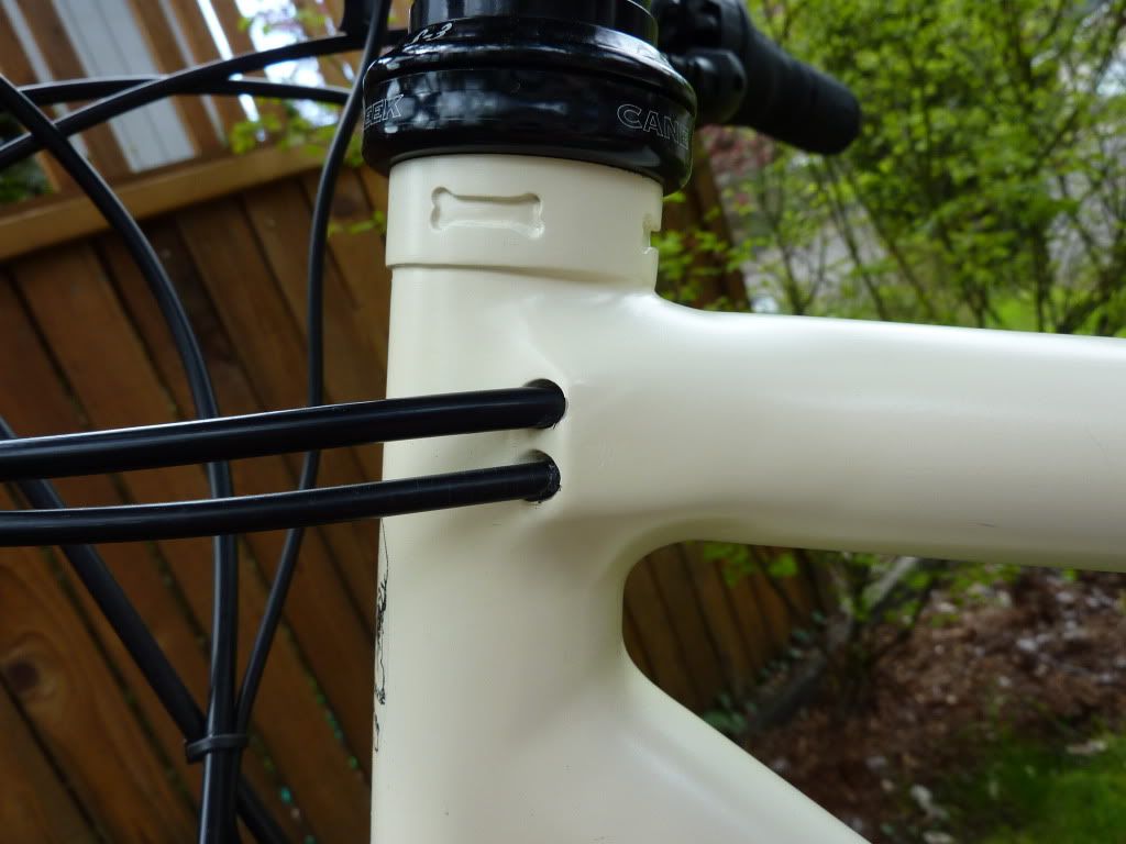 belt drive 29er