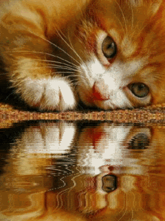 0104.gif mne se chce tak spat image by jimbo0225 0104.gif mne se chce tak spat image by jimbo0225