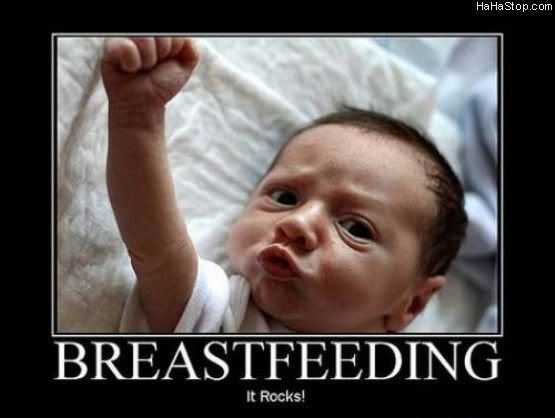 http://i668.photobucket.com/albums/vv49/palifreak70/Breastfeeding.jpg