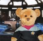CaptainBearOnTheBridge.jpg