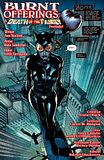  photo catwoman13-deathofthefamily_stuffedcat1.jpg