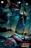  photo nightwing15-deathofthefamily_wingvsraya6.jpg